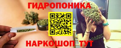 2c-b Будённовск