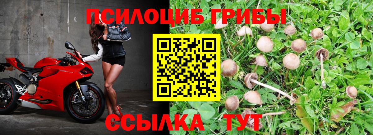 Череповец  Галлюциногенные грибы мицелий  Вход с VPN  Галлюциногенные грибы Cubensis 